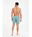 Protest Heren Wytona Beachshort Artic Green