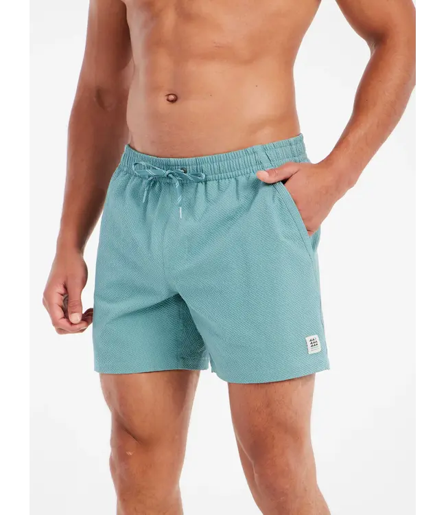 Protest Heren Wytona Beachshort Artic Green