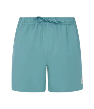 Protest Heren Wytona Beachshort Artic Green