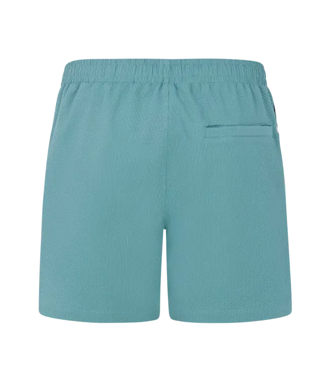 Protest Heren Wytona Beachshort Artic Green