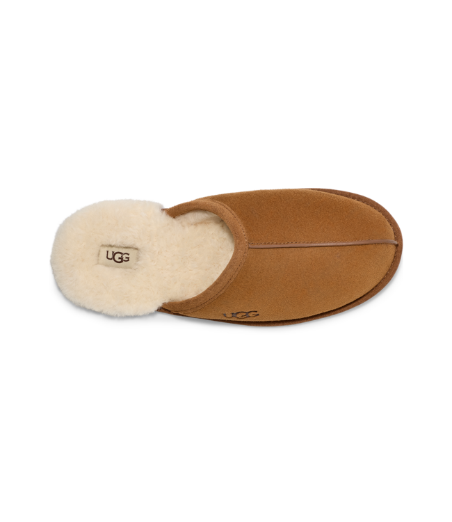 UGG UGG Heren Scuff Chestnut