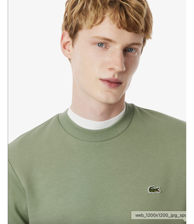 Lacoste Lacoste Heren Ronde Nek Trui Thyme Groen