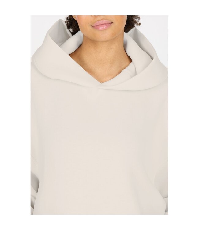 Athlecia Athlecia Larisa Dames Hoodie Vaporous Gray/ Off White