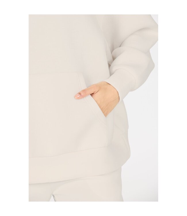 Athlecia Athlecia Larisa Dames Hoodie Vaporous Gray/ Off White