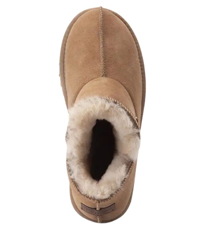 Warmbat Warmbat Willow Women Suede Camel