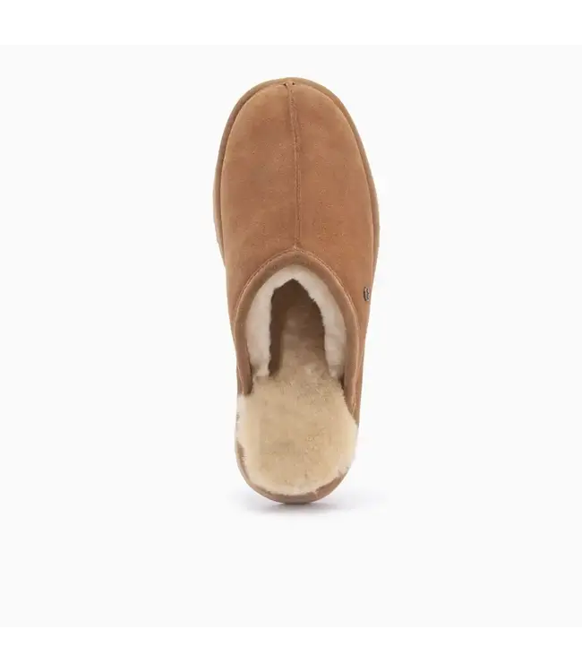 Warmbat Warmbat Bulman Men Suede Cognac