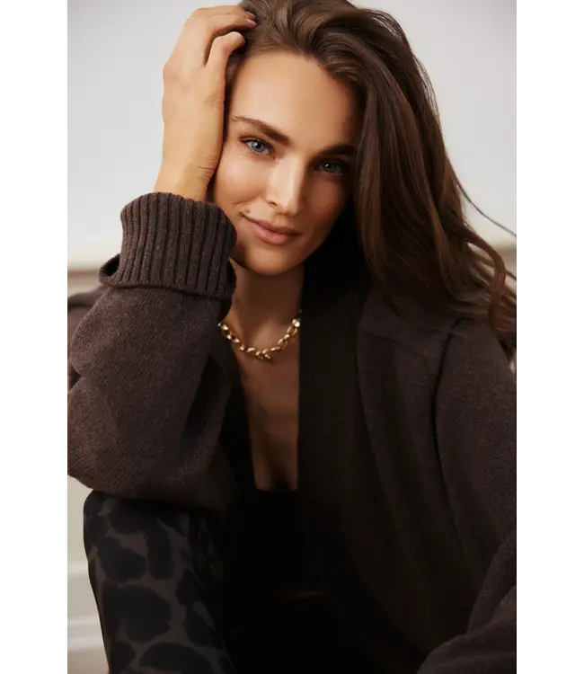 Deblon Deblon Florence Boyfriend Cardigan Cacao Melange