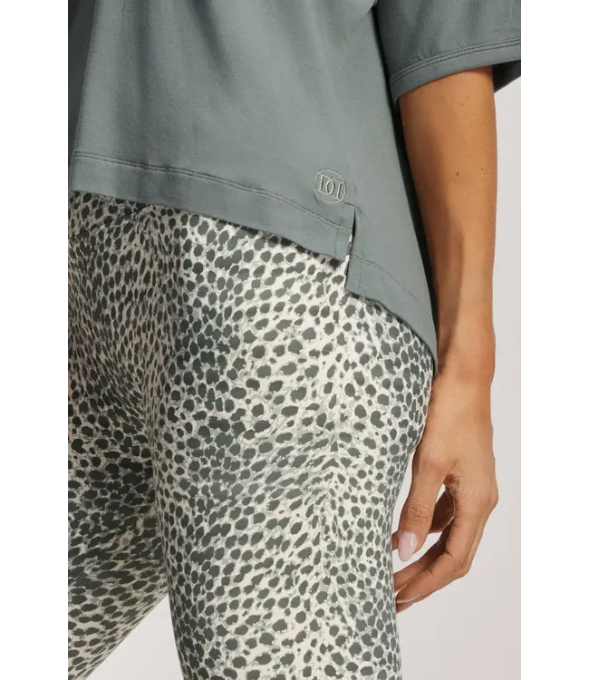 Deblon Deblon Classic Leggings High Waistband Cheetah Sage