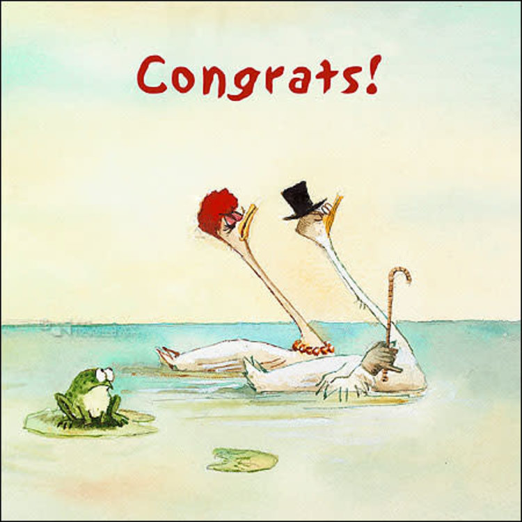 Art Revisited kunstkaart Marius van Dokkum - Congrats!