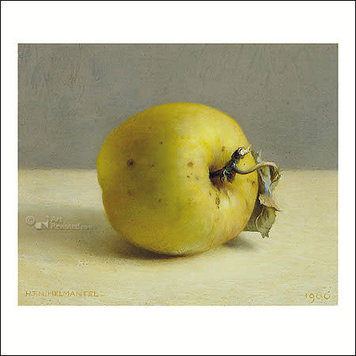 Art Revisited Henk Helmantel - notaris appel