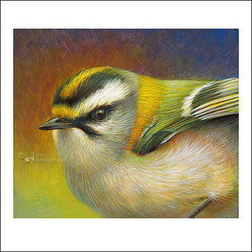 Art Revisited Erik van Ommen - portret van een vuurhaantje