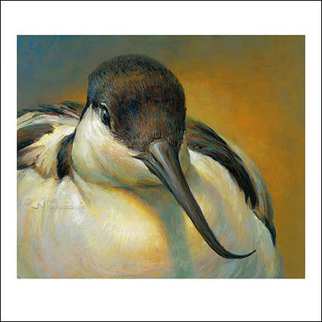 Art Revisited kunstkaart Erik van Ommen - kluut