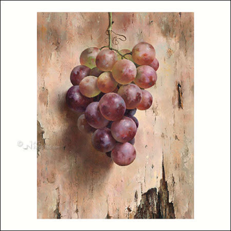 Art Revisited kunstkaart Marius van Dokkum - druiven