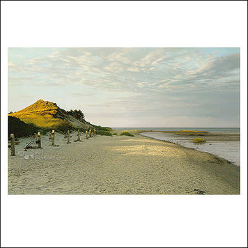 Art Revisited kunstkaart Peter van der Ploeg - Rømø