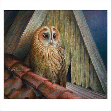 Art Revisited kunstkaart Erik van Ommen - bosuil
