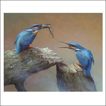 Art Revisited kunstkaart Erik van Ommen - ijsvogels