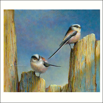 Art Revisited kunstkaart Erik van Ommen - staartmezen