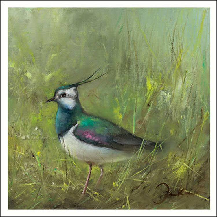 Art Revisited kunstkaart Jan van der Kooi - kievit