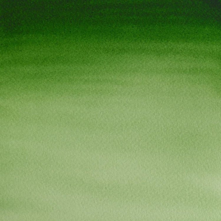 Cotman Water Colours 314 Cotman aquarel napje - Hookers green light