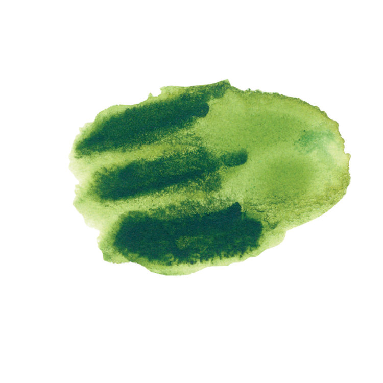 Daniel Smith aquarelstick - sap green