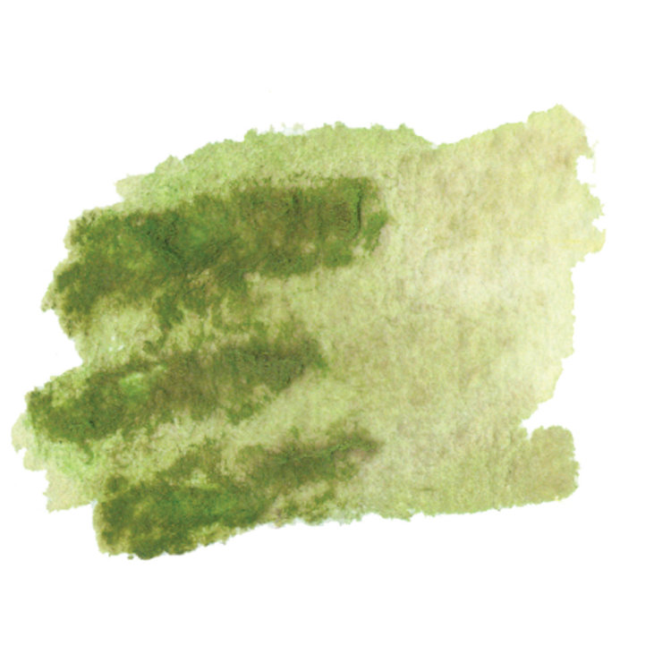 Daniel Smith aquarelstick - serpentine genuine