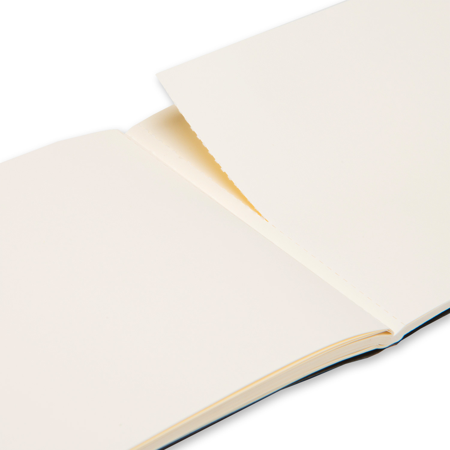 Moleskine