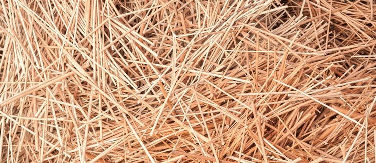 Coates Willow natuurlijke houtskool staafjes (wilgenhout)