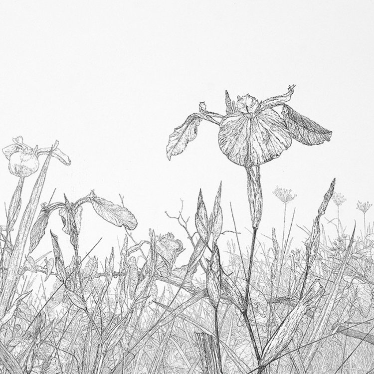 Art Revisited Sympathy - mapje met 8 kaarten van Reinder Homan