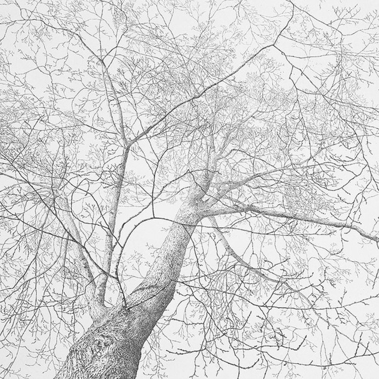 Art Revisited Sympathy - mapje met 8 kaarten van Reinder Homan