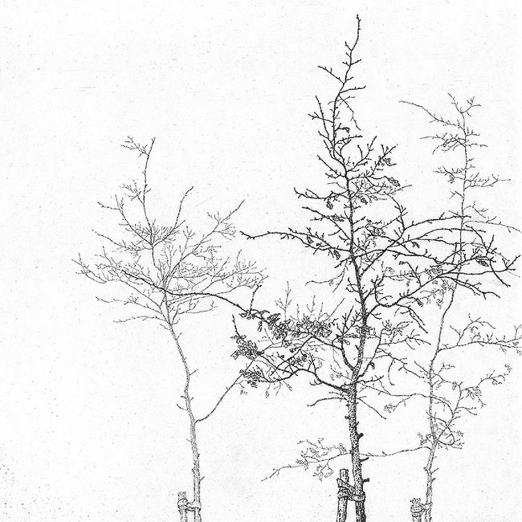 Art Revisited Sympathy - mapje met 8 kaarten van Reinder Homan