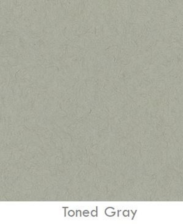 Strathmore Strathmore Toned Gray serie 400