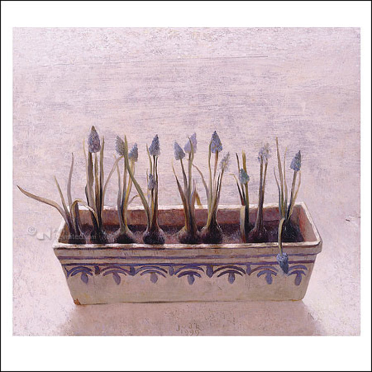 Art Revisited kunstkaart Jan van der Kooi– blauwe druifjes