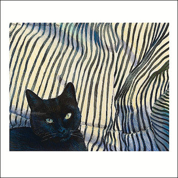 Art Revisited Robin d’Arcy Shillcock – Pasja