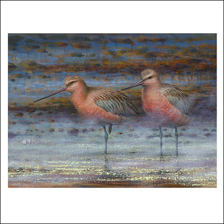 Art Revisited kunstkaart Erik van Ommen – rosse grutto’s