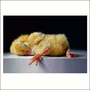 Art Revisited Adriana van Zoest – het eendagskuiken