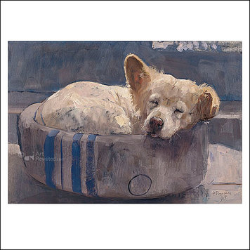 Art Revisited Pieter Pander – Robby