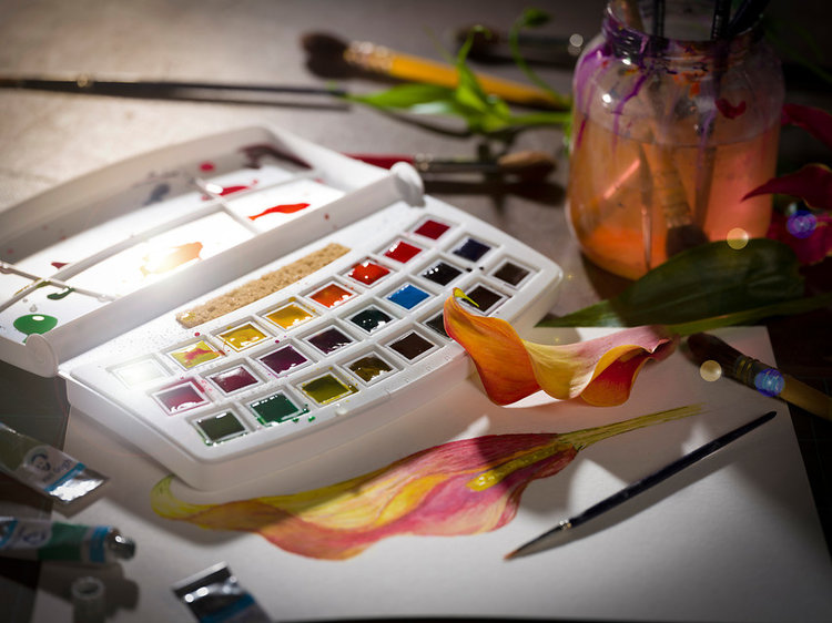 Van Gogh aquarelverf box 24 napjes - Botanical colours