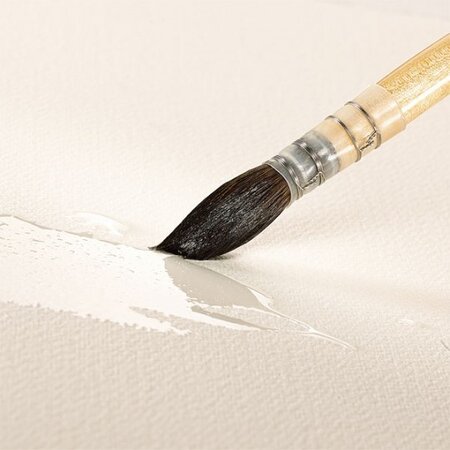 BRUSHES