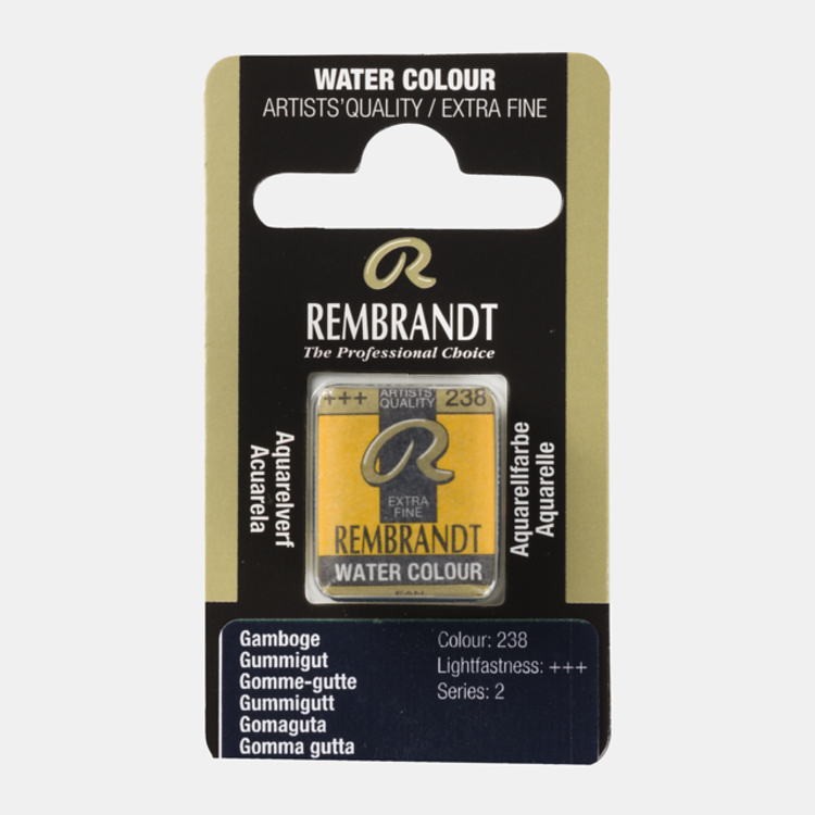 Rembrandt 238 aquarelverf napje gummigut