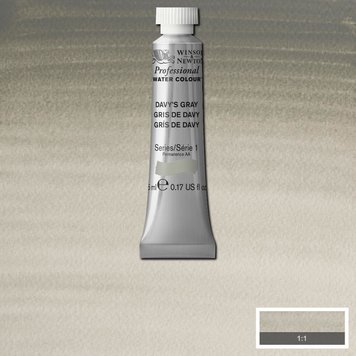 Winsor & Newton 217 PRO aquarelverf tube 5ml - davy's gray
