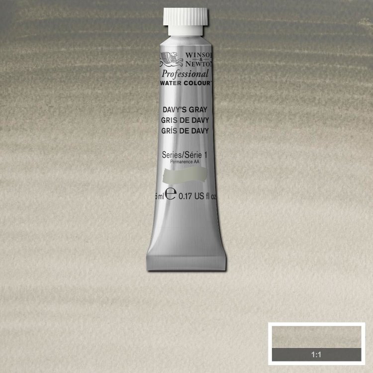 Winsor & Newton 217 PRO aquarelverf tube 5ml - davy's gray