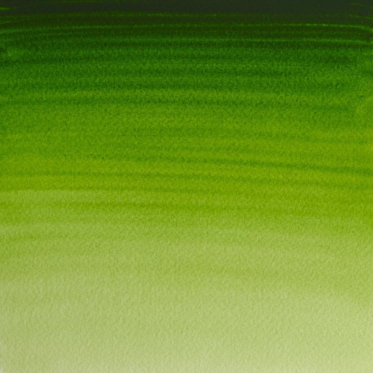 Winsor & Newton 503 PRO aquarelverf napje - perm sap green