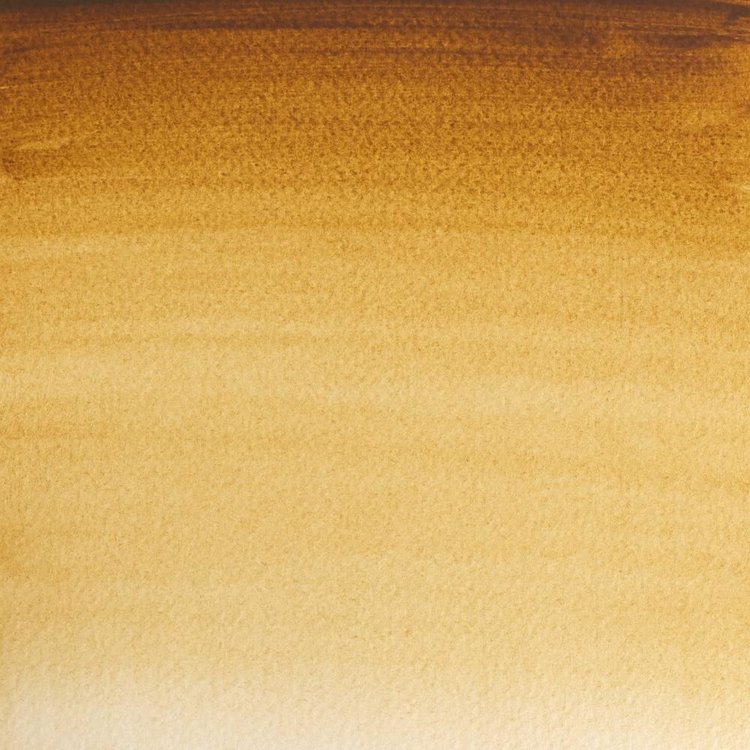 Winsor & Newton 554 PRO aquarelverf tube 5ml - raw umber