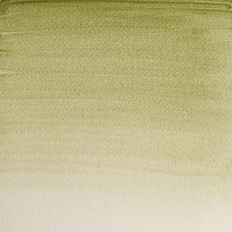 Winsor & Newton 638 PRO aquarelverf tube 14ml - terre verte (ys)