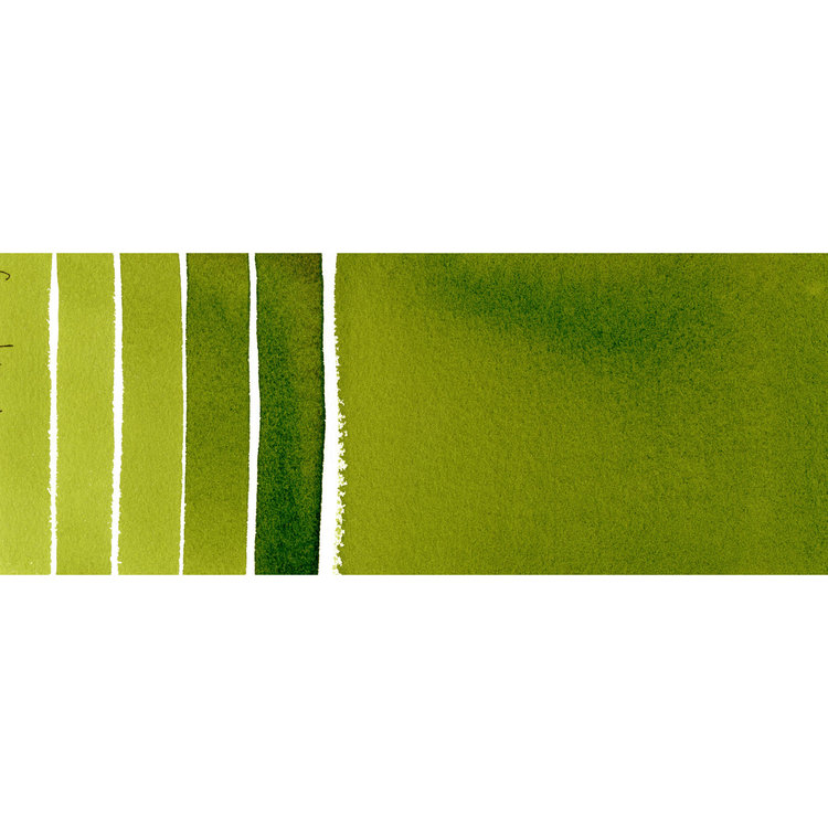 Daniel Smith aquarel napje - sap green