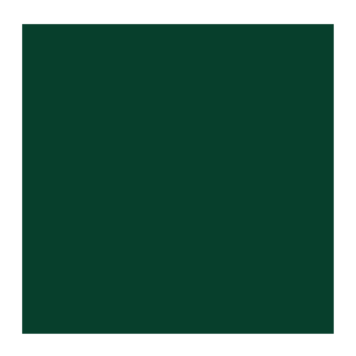 Cobra Artist 623 Artist (watervermengbare) olieverf 40ml - sapgroen