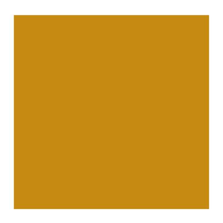 Cobra Artist 803 Artist (watervermengbare) olieverf 40ml - donkergoud