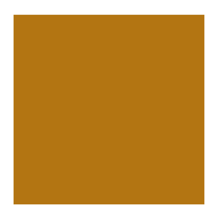 Rembrandt 234 olieverf 15ml  sienna nat.