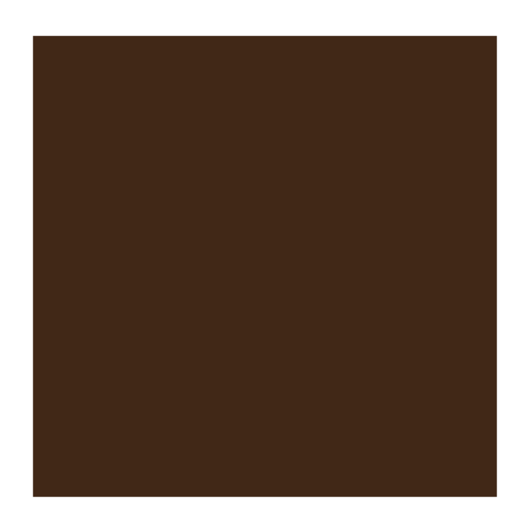 Rembrandt 416 olieverf 15ml  sepia