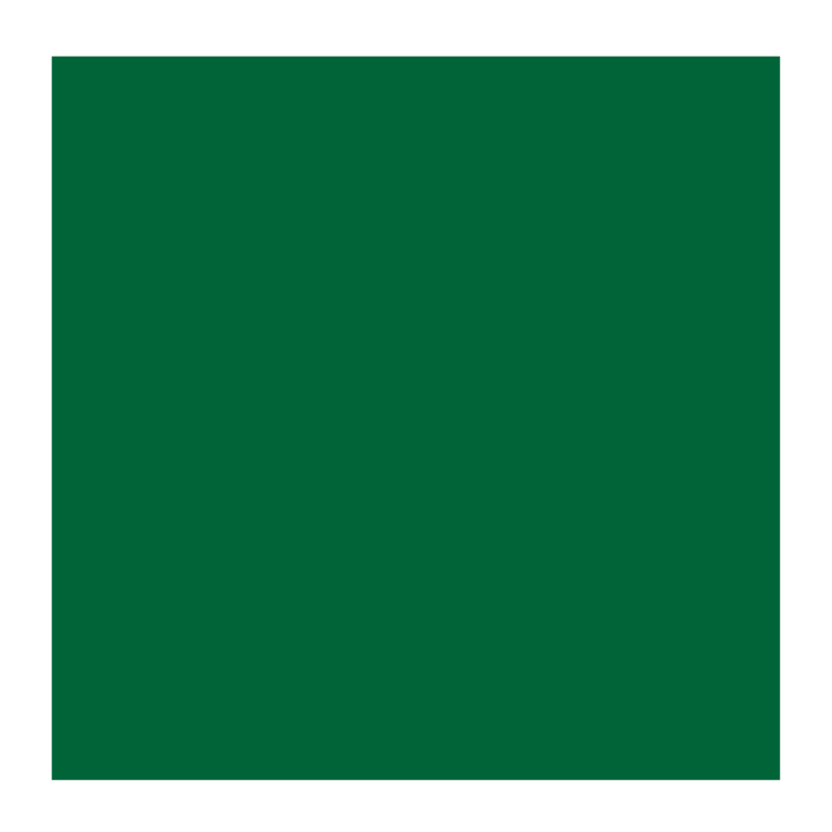 Rembrandt 627 olieverf 15ml  vermiljoengroen dnk